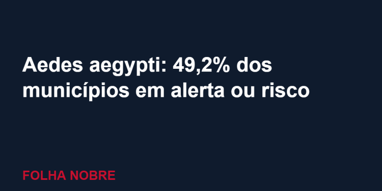 Aedes aegypti: quase metade dos municípios brasileiros está em alerta ou risco