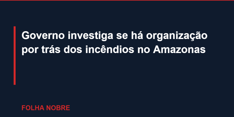 Governo investiga se há organização por trás dos incêndios no Amazonas